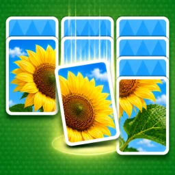 Значок Jigdrop Match-Solitaire Puzzle